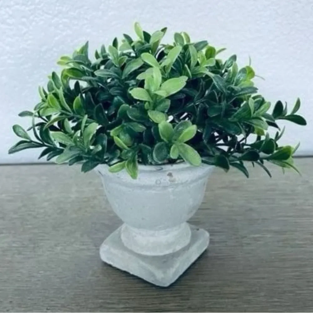 Eucalyptus Greenery Plant Gray Planter Pot